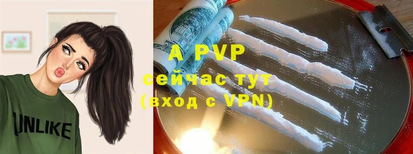 Альфа ПВП Гусиноозёрск