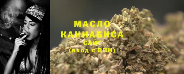 шишки Гусь-Хрустальный