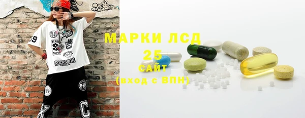 шишки Гусь-Хрустальный