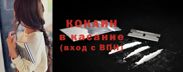 шишки Гусь-Хрустальный