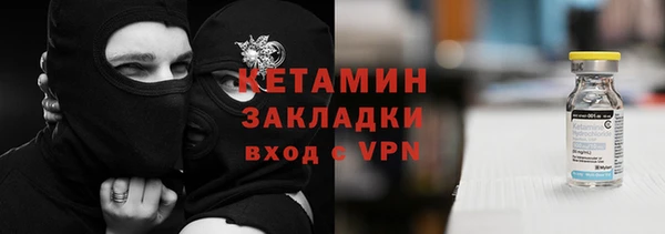 шишки Гусь-Хрустальный