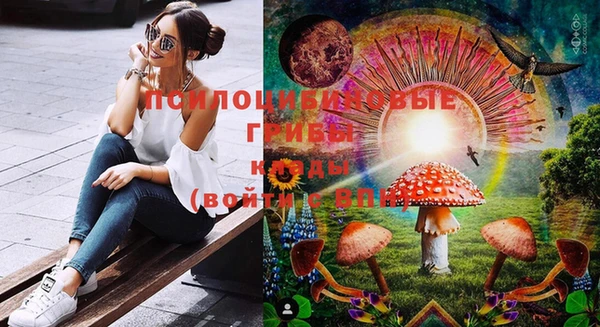 шишки Гусь-Хрустальный