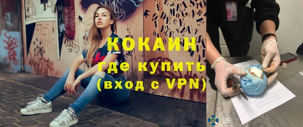 шишки Гусь-Хрустальный