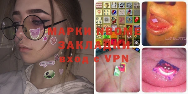 шишки Гусь-Хрустальный