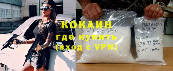 шишки Гусь-Хрустальный