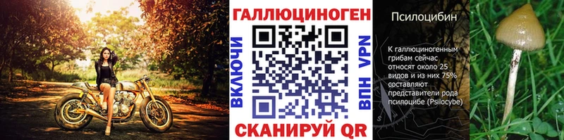 hydra рабочий сайт Дятьково Галлюциногенные грибы мицелий