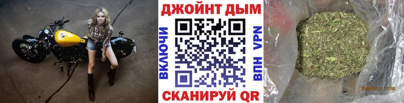 закладки  Дятьково  гидра ссылка  Каннабис ГИДРОПОН 
